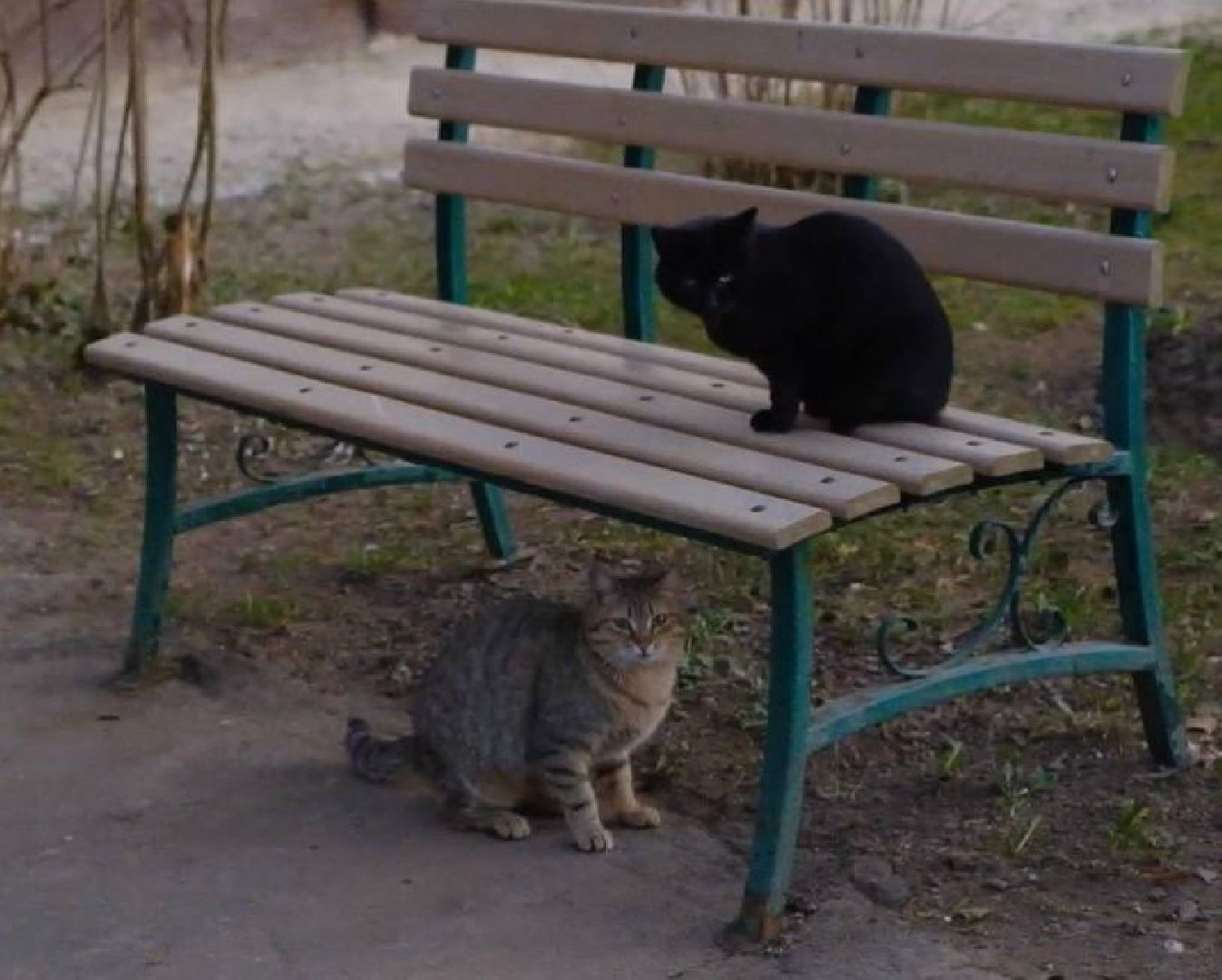 Солнечногорск, благоустройство, дворы, детские площадки, глава округа