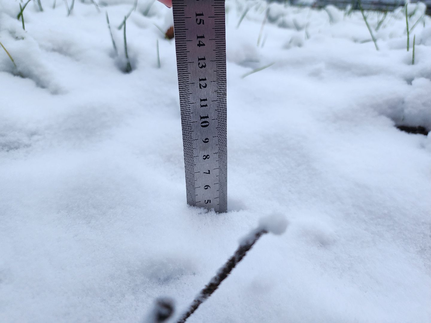 Дубна, Снег, Коммунальщики, Уборка снега, вертикалки,