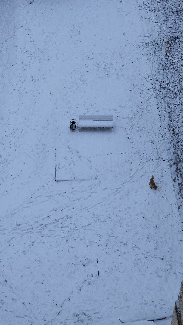 красногорск, снегопад, вертикалка, вертикальное видео, коммунальщики,ЖКХ, снегопад