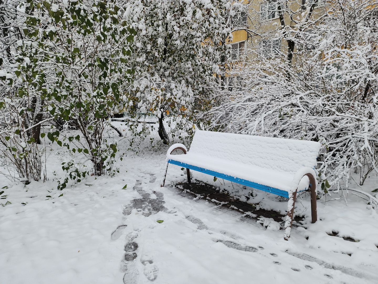 красногорск, снегопад, вертикалка, вертикальное видео, коммунальщики,ЖКХ, снегопад