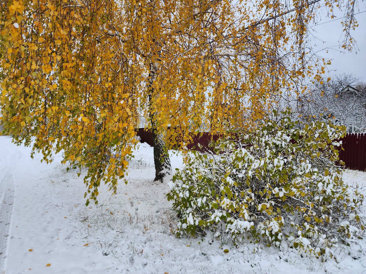раменское, жкх, уборка снега, вертикалки,