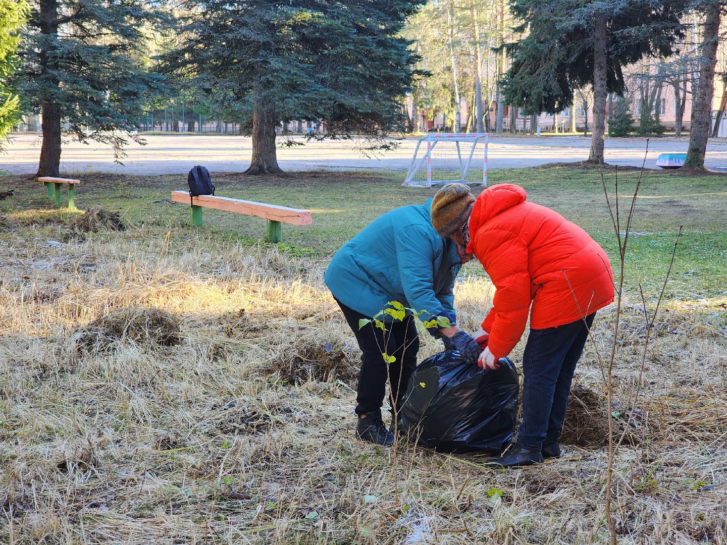 Дубна, Благоустройство, Субботник, Депутат, Школьники, Студенты, вертикалка,