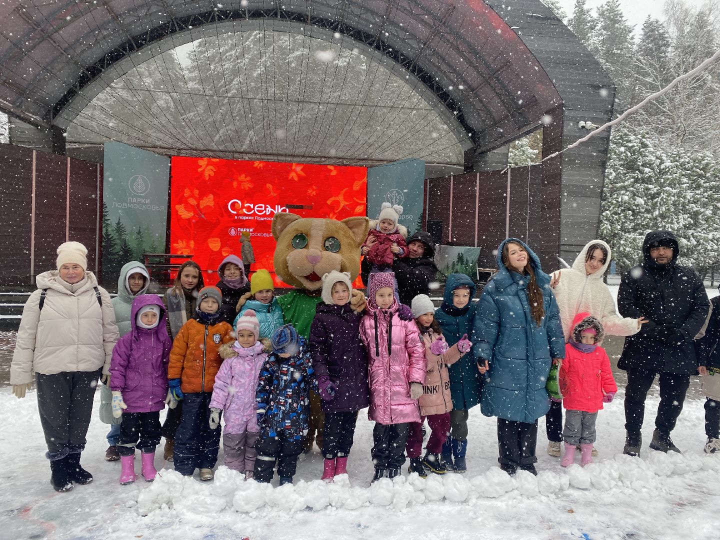 Домодедово, день народно единства, Парк Елочки, Подмосковье, День единсва, Мы вместе, Россия,