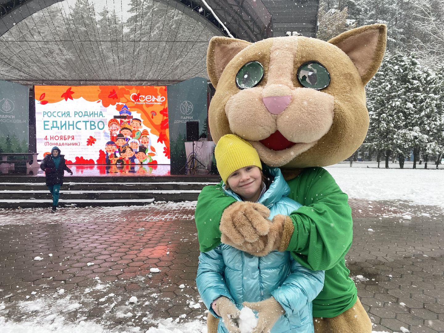 Домодедово, день народно единства, Парк Елочки, Подмосковье, День единсва, Мы вместе, Россия,