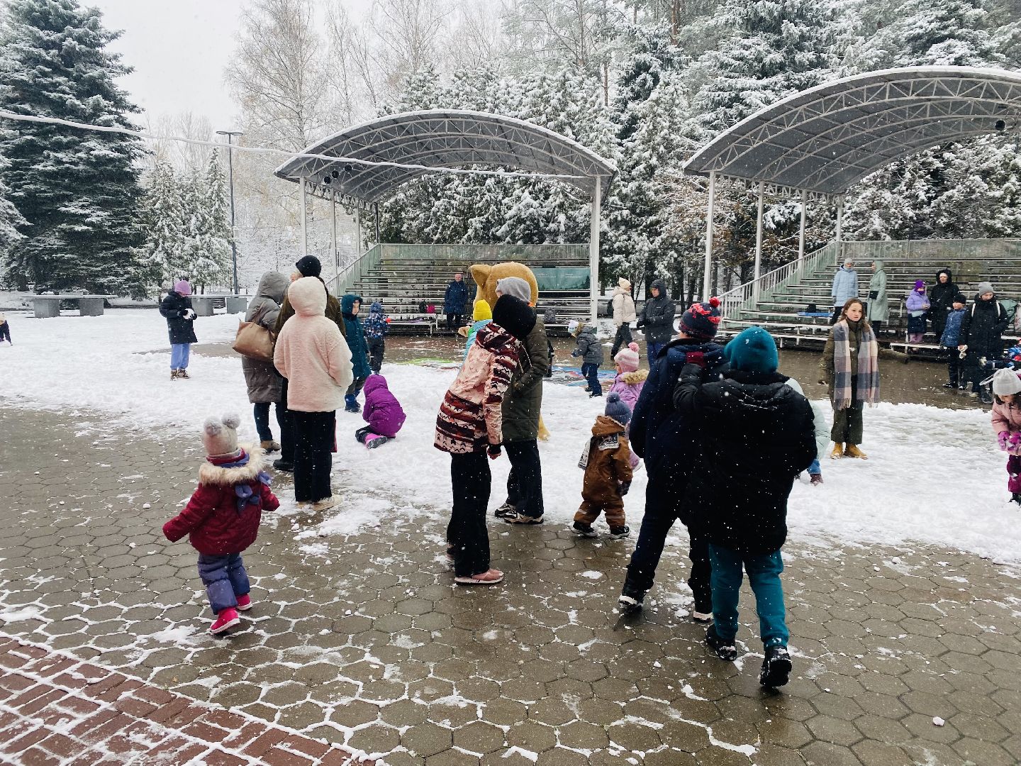 Домодедово, день народно единства, Парк Елочки, Подмосковье, День единсва, Мы вместе, Россия,