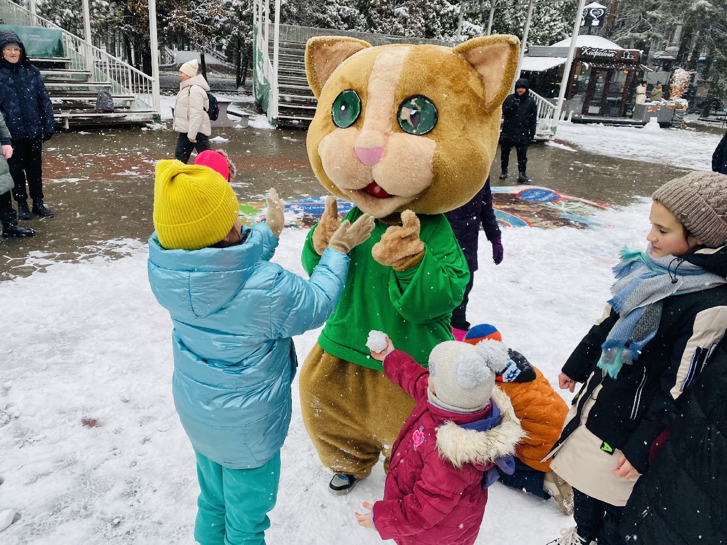 Домодедово, день народно единства, Парк Елочки, Подмосковье, День единсва, Мы вместе, Россия,
