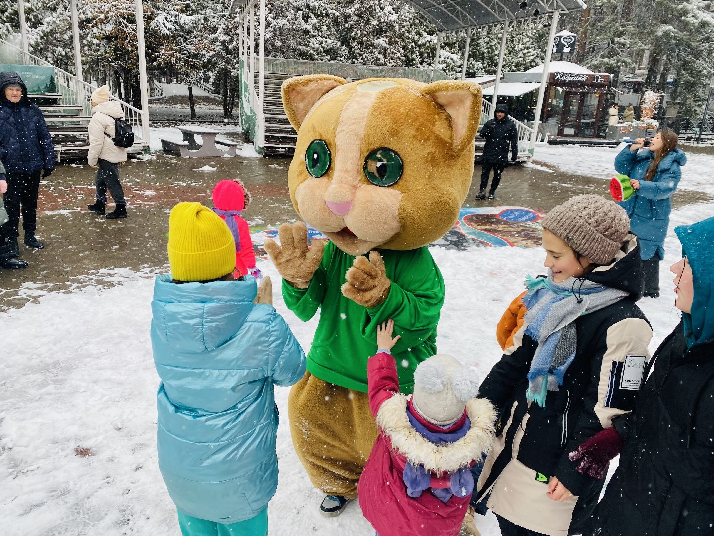Домодедово, день народно единства, Парк Елочки, Подмосковье, День единсва, Мы вместе, Россия,