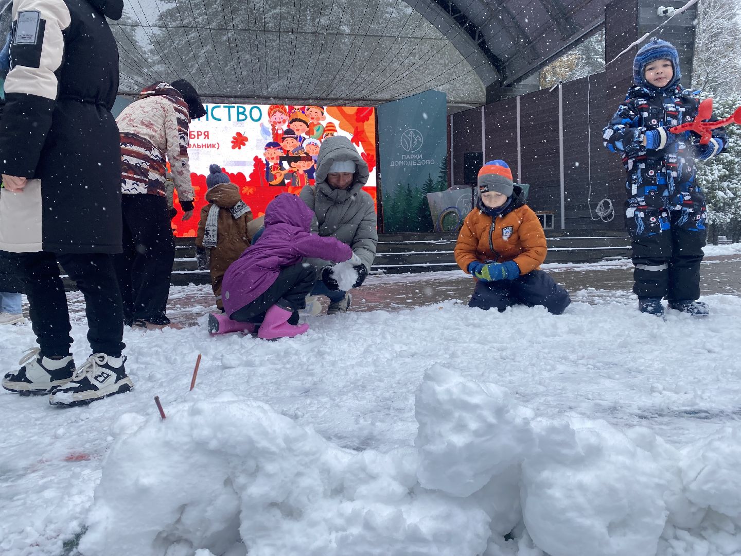 Домодедово, день народно единства, Парк Елочки, Подмосковье, День единсва, Мы вместе, Россия,