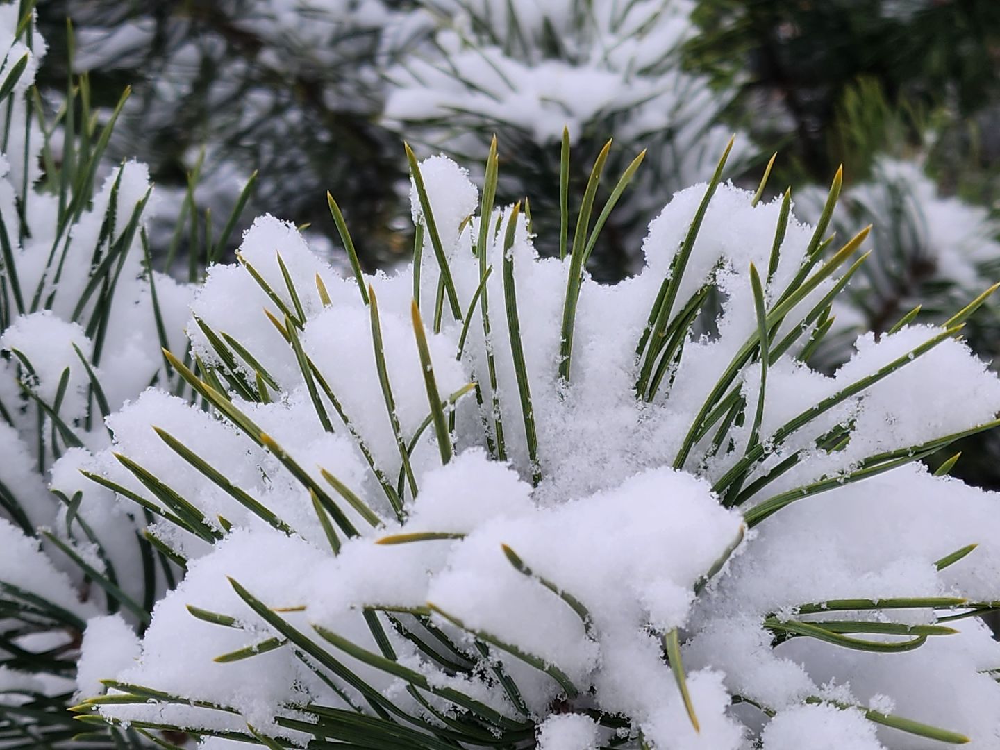 Подольск, уборка снега, коммунальщики, вертикалка,