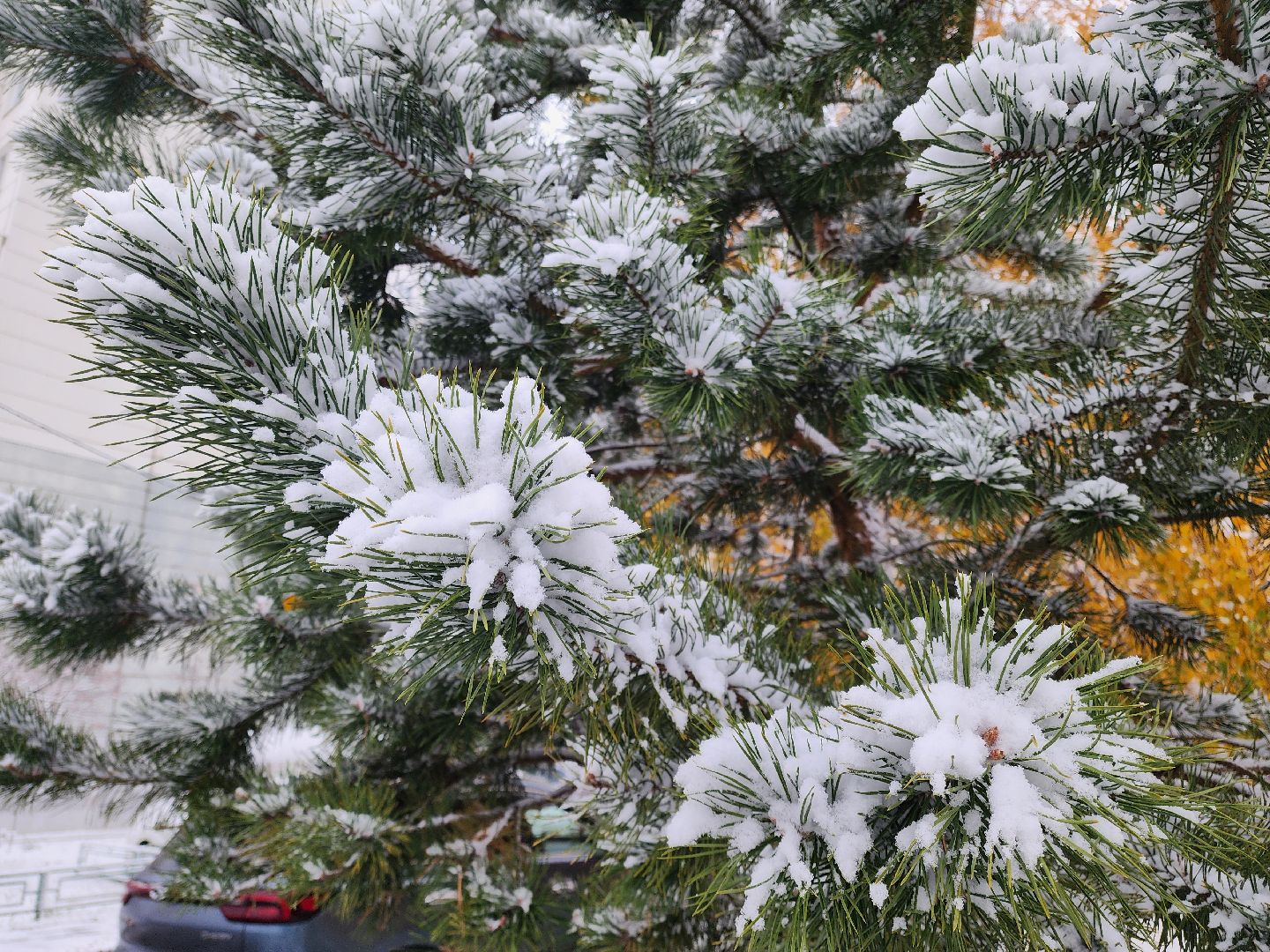 Подольск, уборка снега, коммунальщики, вертикалка,