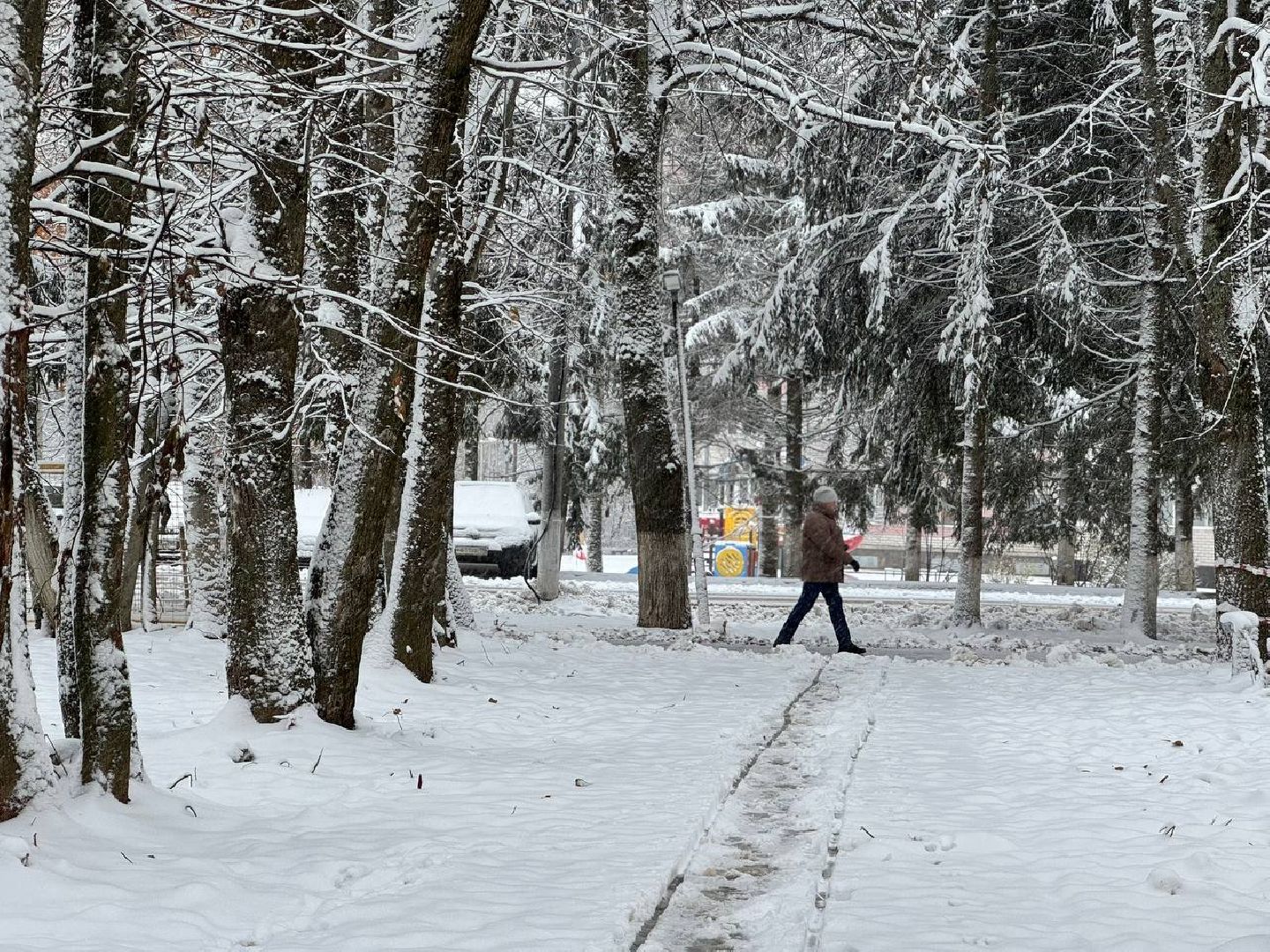 первый снег, коммунальщики, городской округ восход, вертикалки,