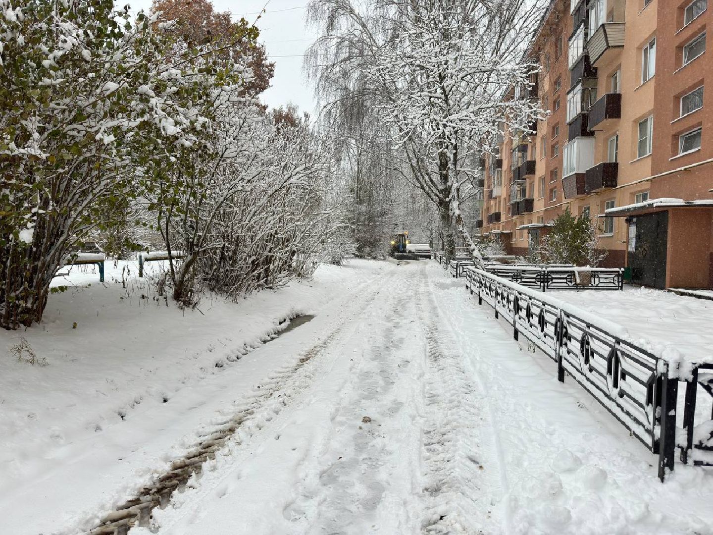первый снег, коммунальщики, городской округ восход, вертикалки,