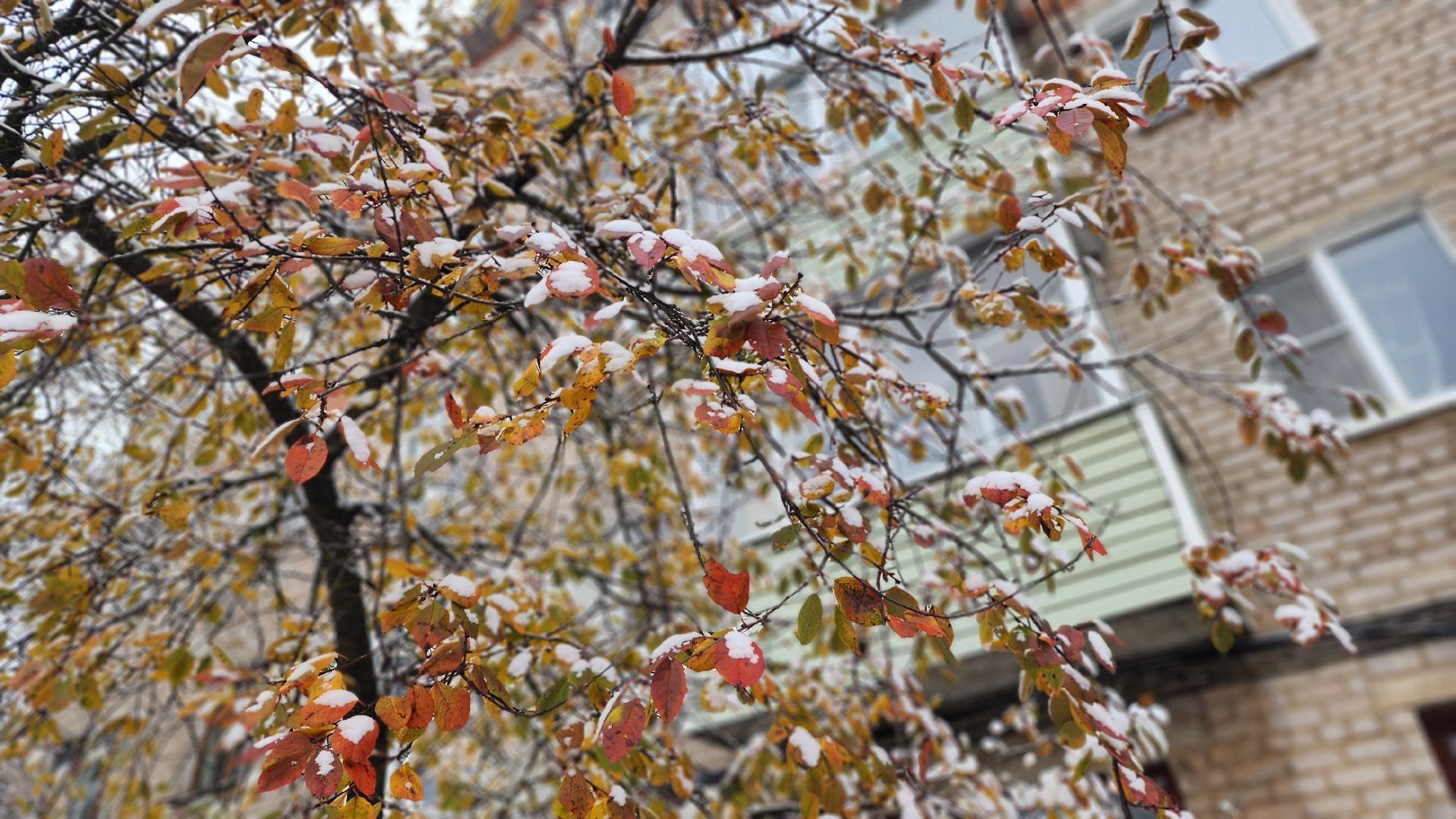 Снегопад, Рошаль, городской округ Шатура, уборка дворов, расчистка снега, вертикалкаЖКХ, коммунальная служба, коммунальная техника,