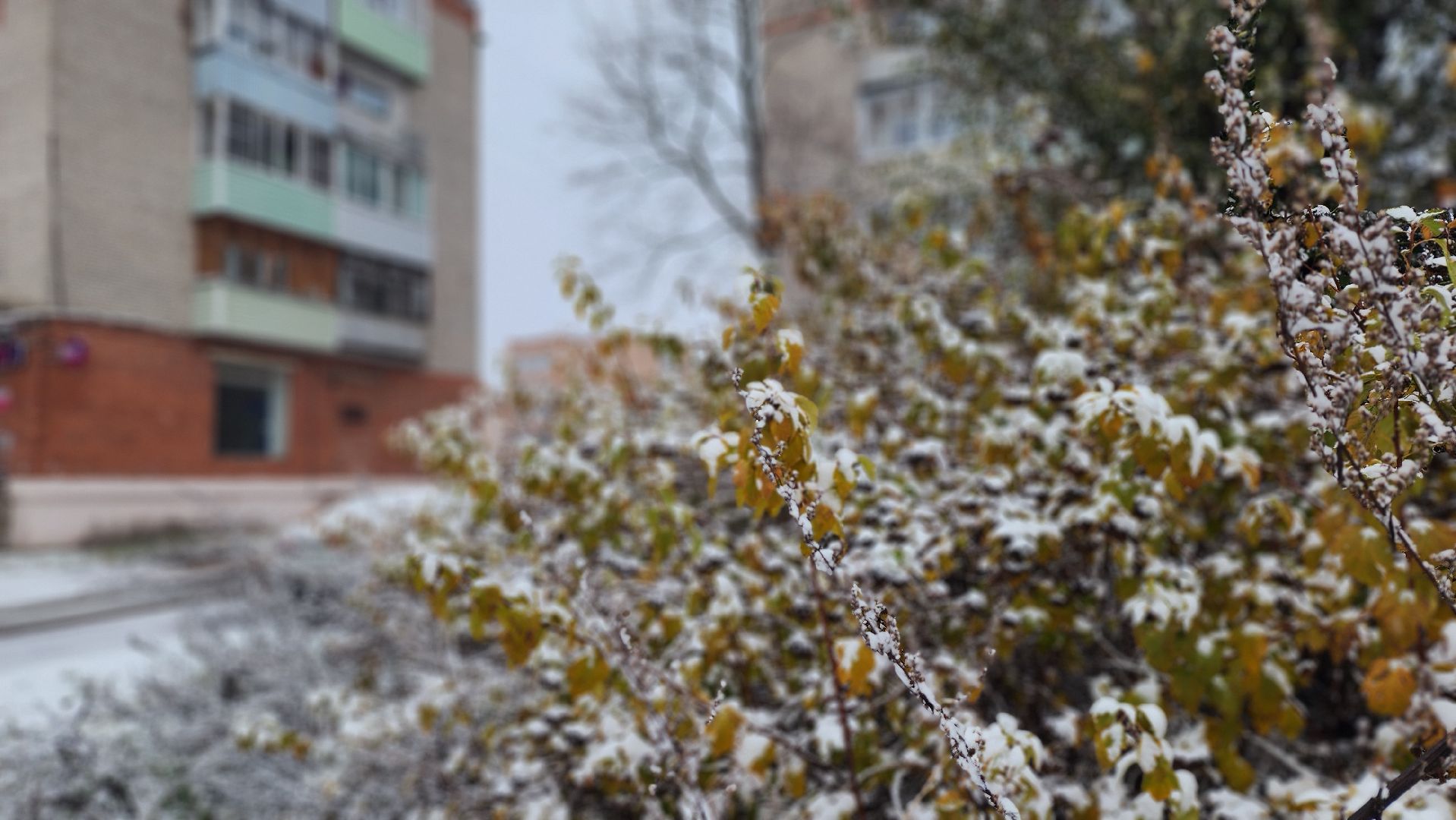 Снегопад, Рошаль, городской округ Шатура, уборка дворов, расчистка снега, вертикалкаЖКХ, коммунальная служба, коммунальная техника,