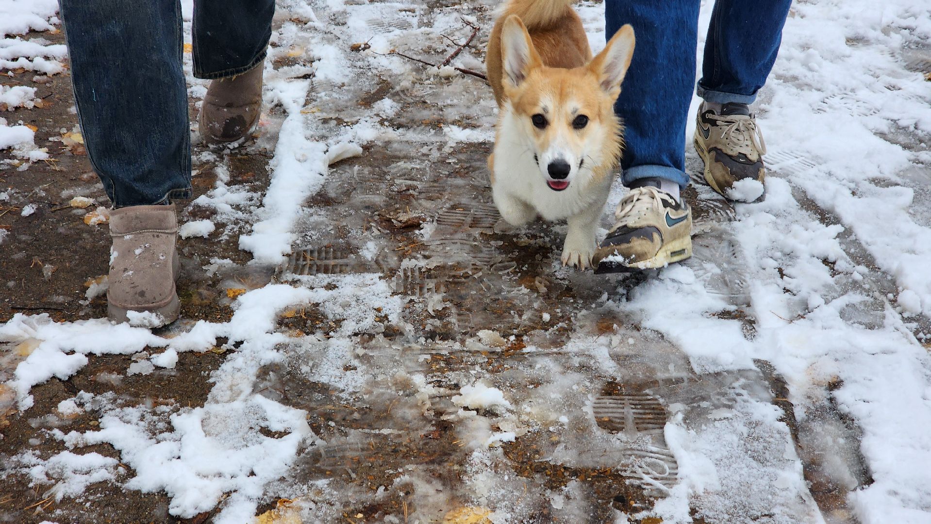 снегоуборка, протвино, комбинат благоустройства, серпухов, благоустройство, вертикалки,