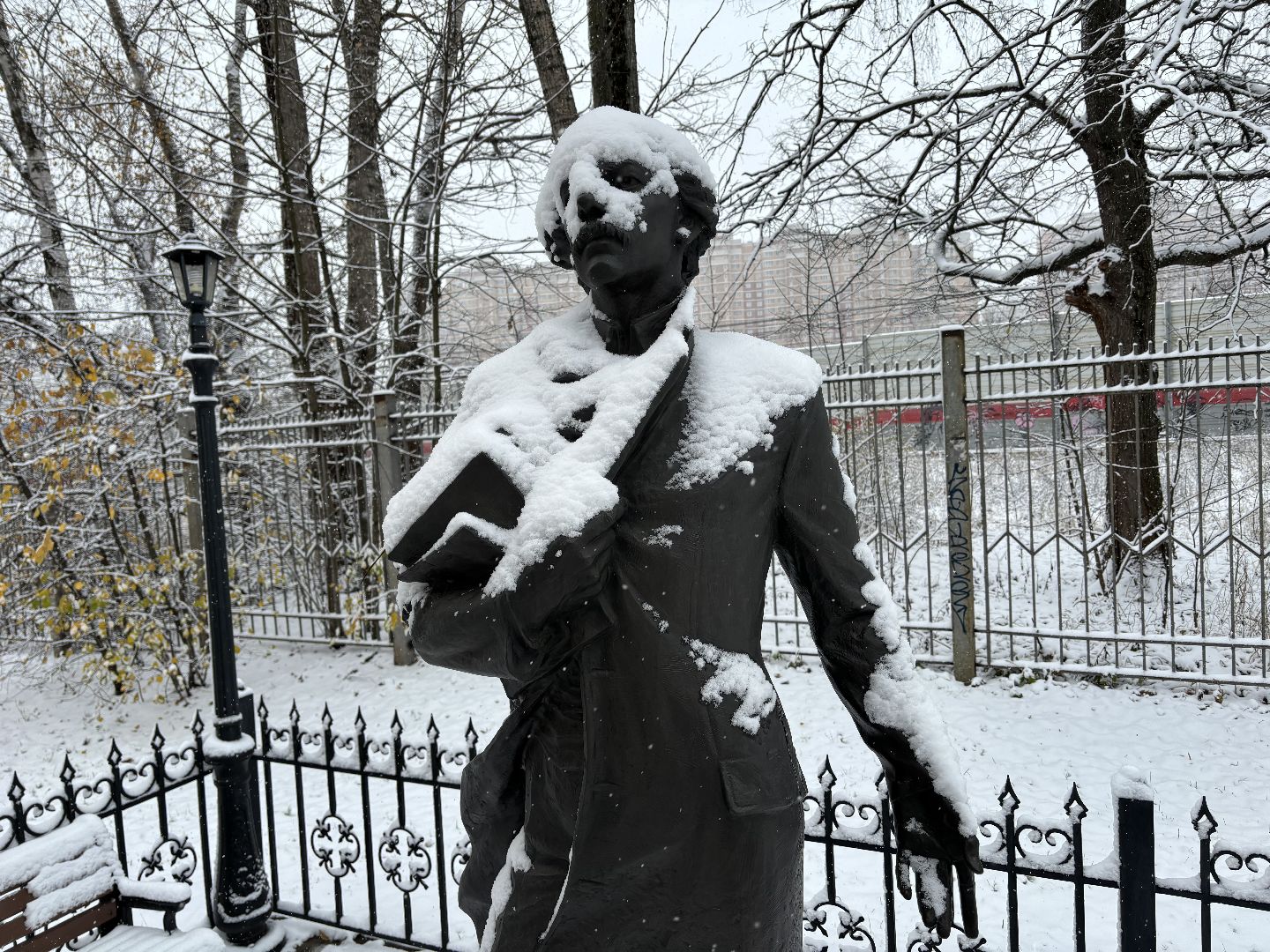 первый снег, снегопад, кучино, коммунальщики, вертикалки,