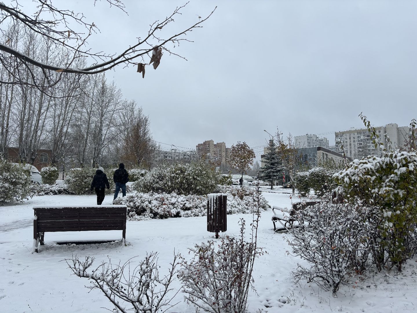 первый снег, снегопад, кучино, коммунальщики, вертикалки,