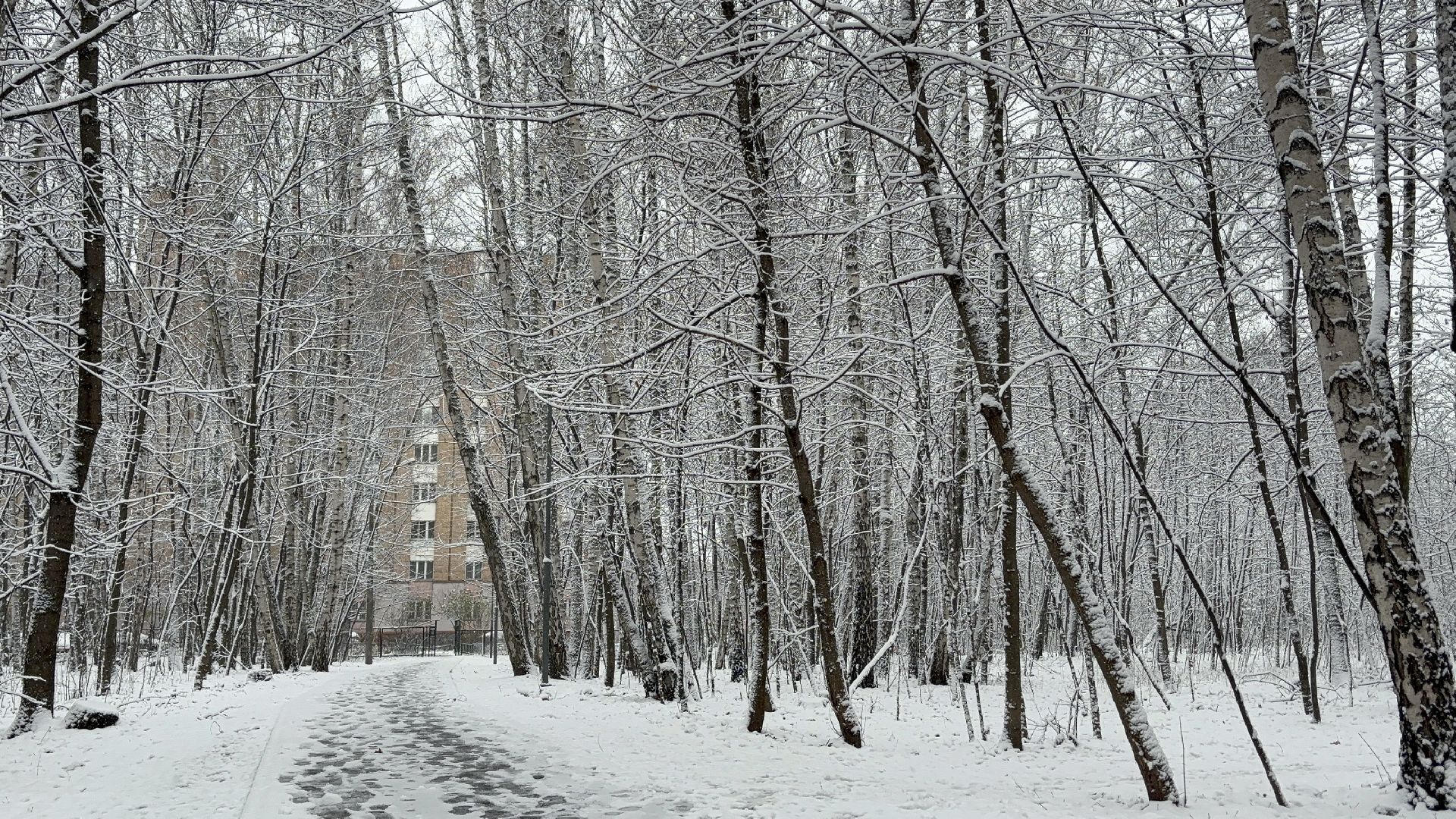 первый снег, снегопад, кучино, коммунальщики, вертикалки,