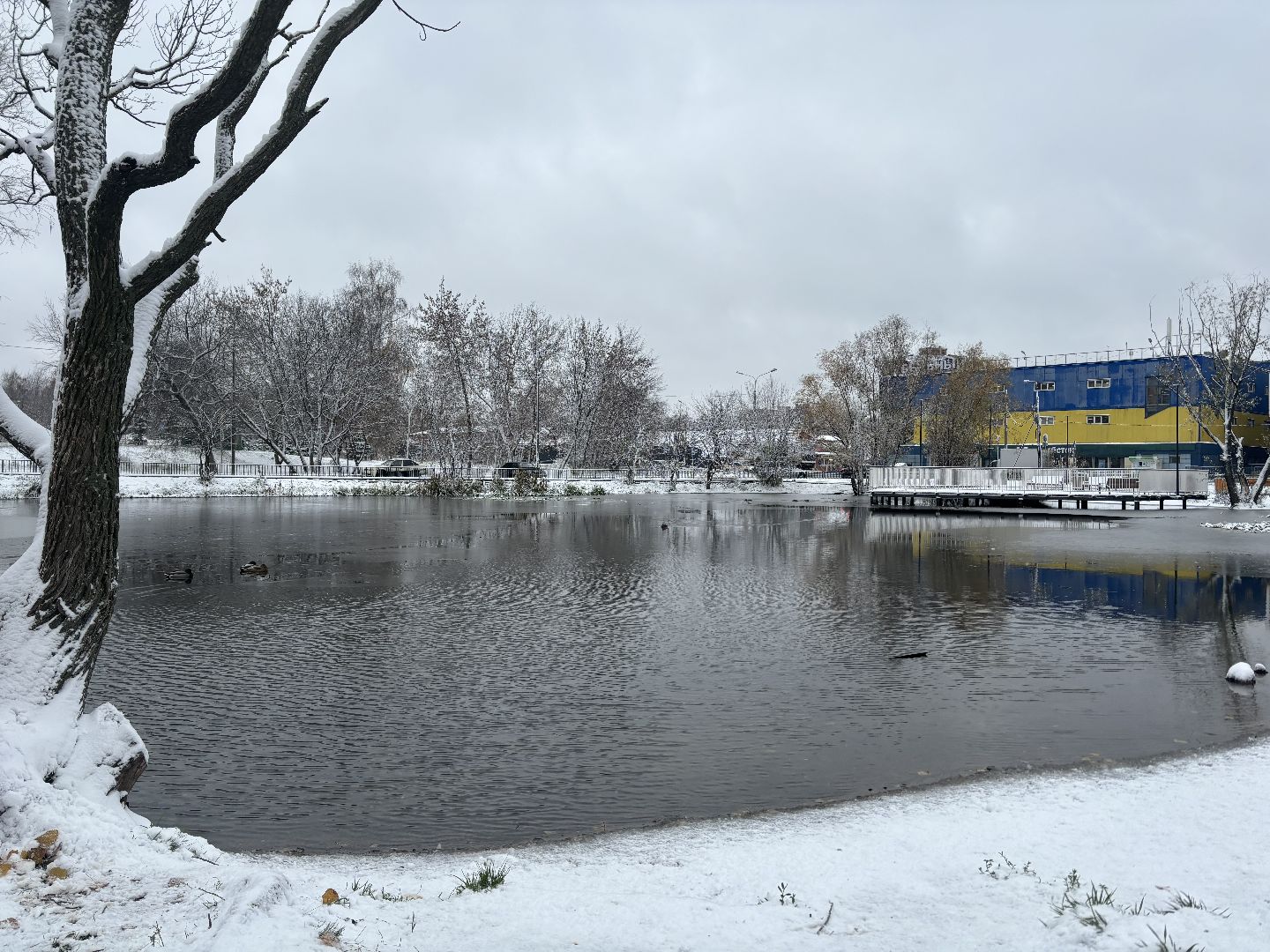 первый снег, снегопад, кучино, коммунальщики, вертикалки,