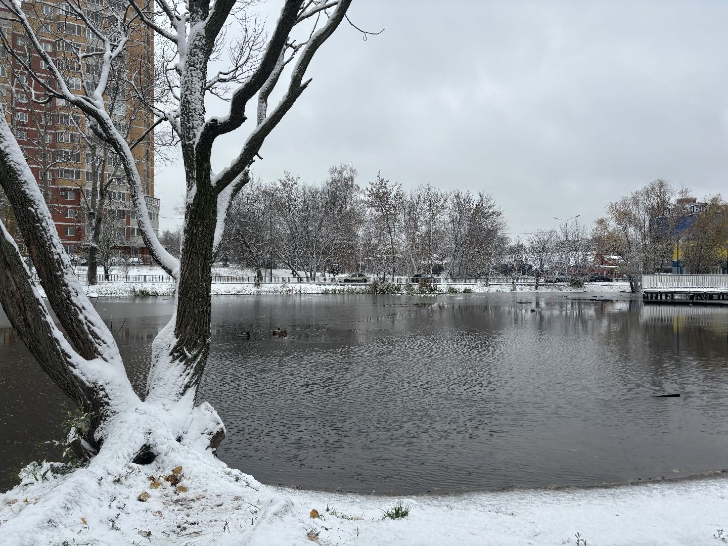 первый снег, снегопад, кучино, коммунальщики, вертикалки,