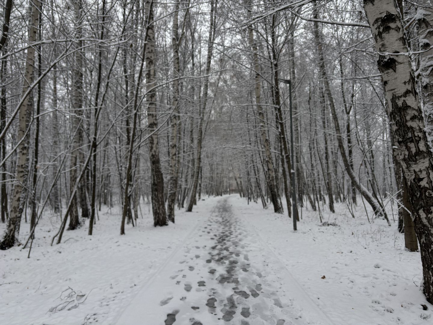 первый снег, снегопад, кучино, коммунальщики, вертикалки,