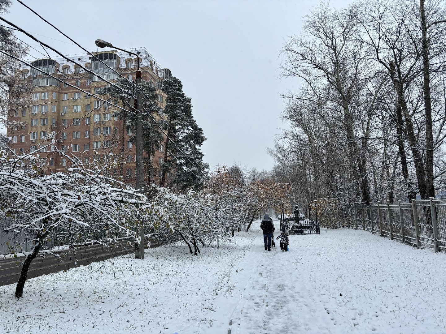 первый снег, снегопад, кучино, коммунальщики, вертикалки,