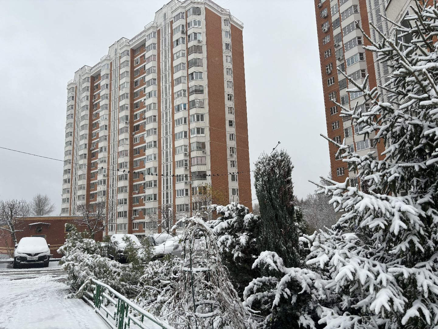 первый снег, снегопад, кучино, коммунальщики, вертикалки,