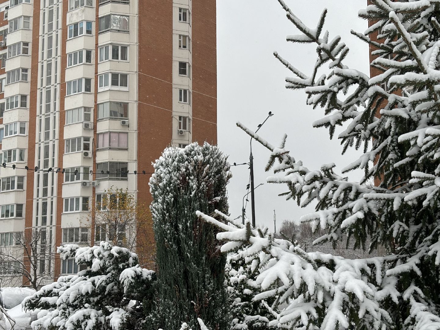 первый снег, снегопад, кучино, коммунальщики, вертикалки,
