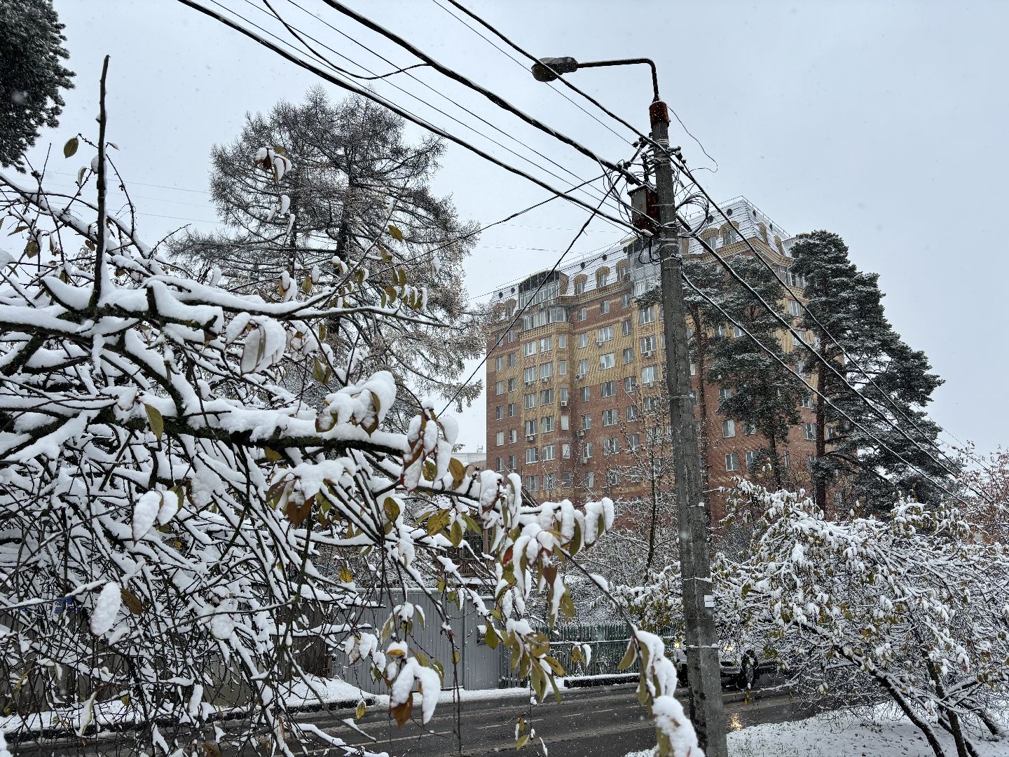 первый снег, снегопад, кучино, коммунальщики, вертикалки,
