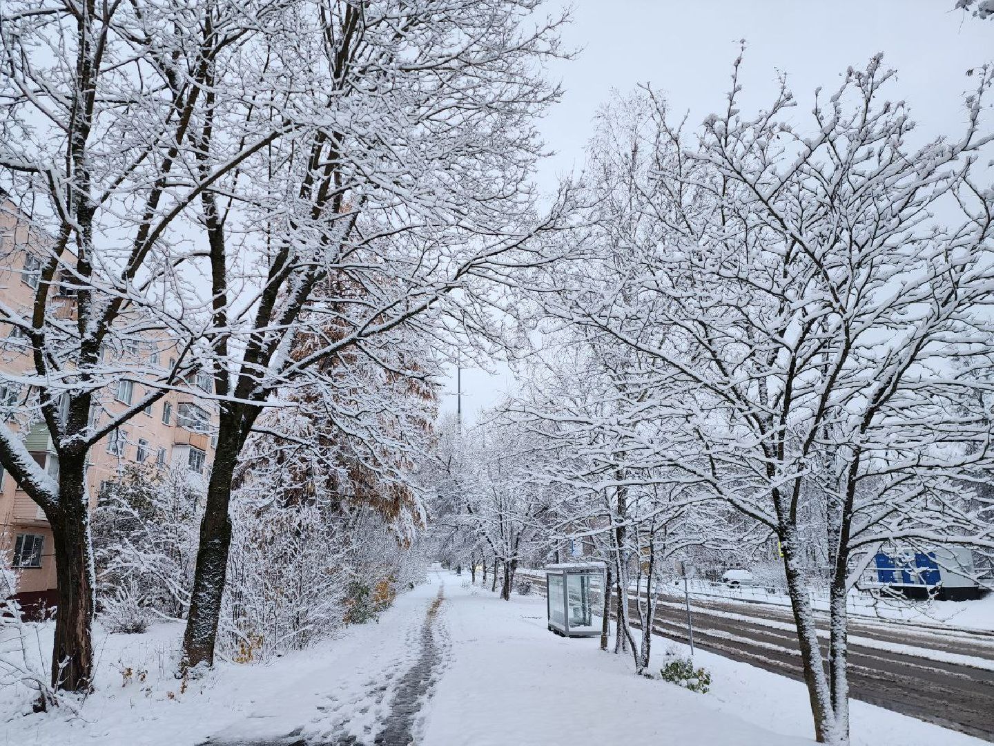 можайск, можайский городской округ, подмосковье, снег, первый снег, коммунальная техника, уборка снега, дворники, последствия непогоды, снегопад, первый снегопад, ЖКХ, вертикалки