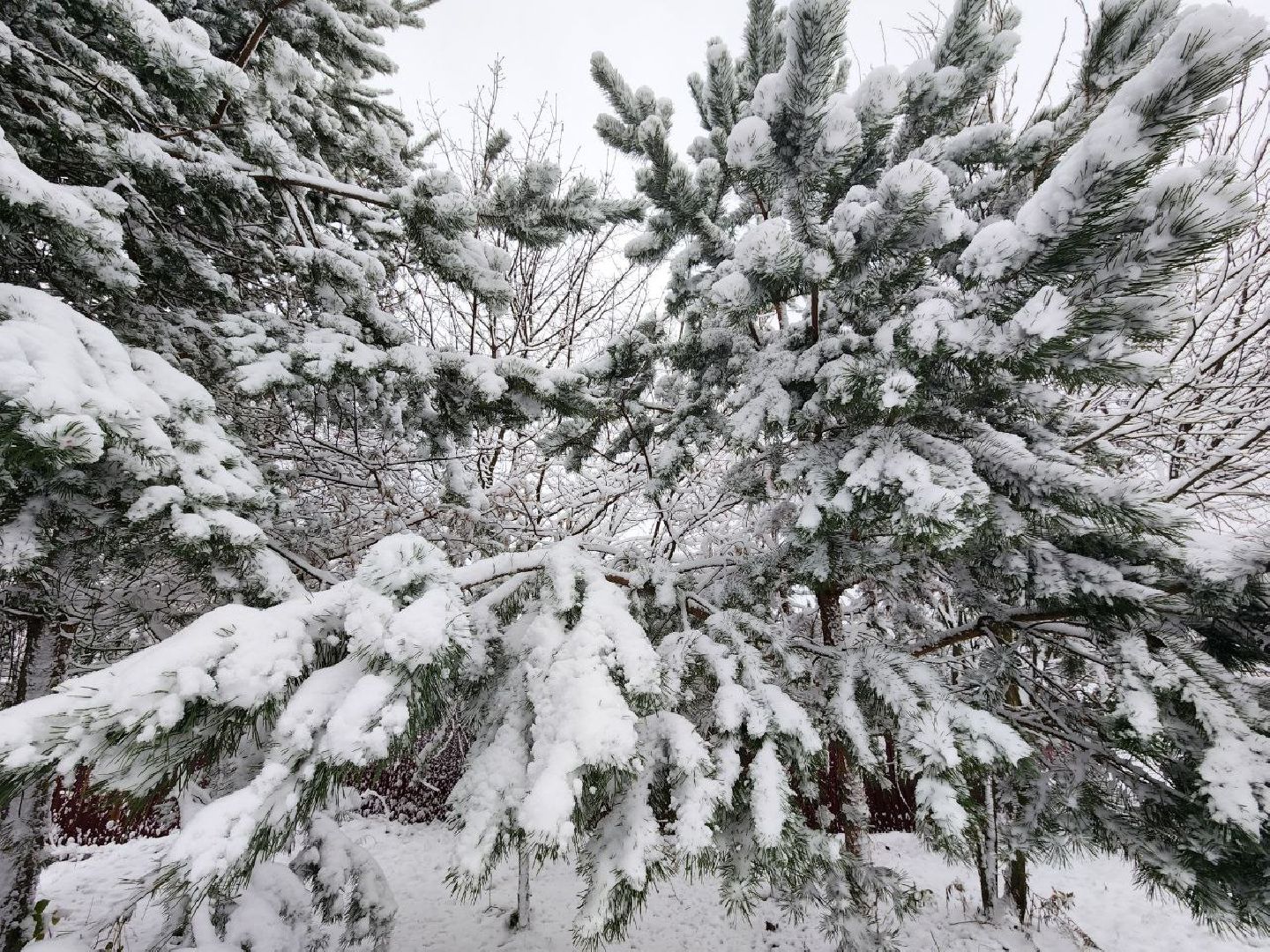 можайск, можайский городской округ, подмосковье, снег, первый снег, коммунальная техника, уборка снега, дворники, последствия непогоды, снегопад, первый снегопад, ЖКХ, вертикалки