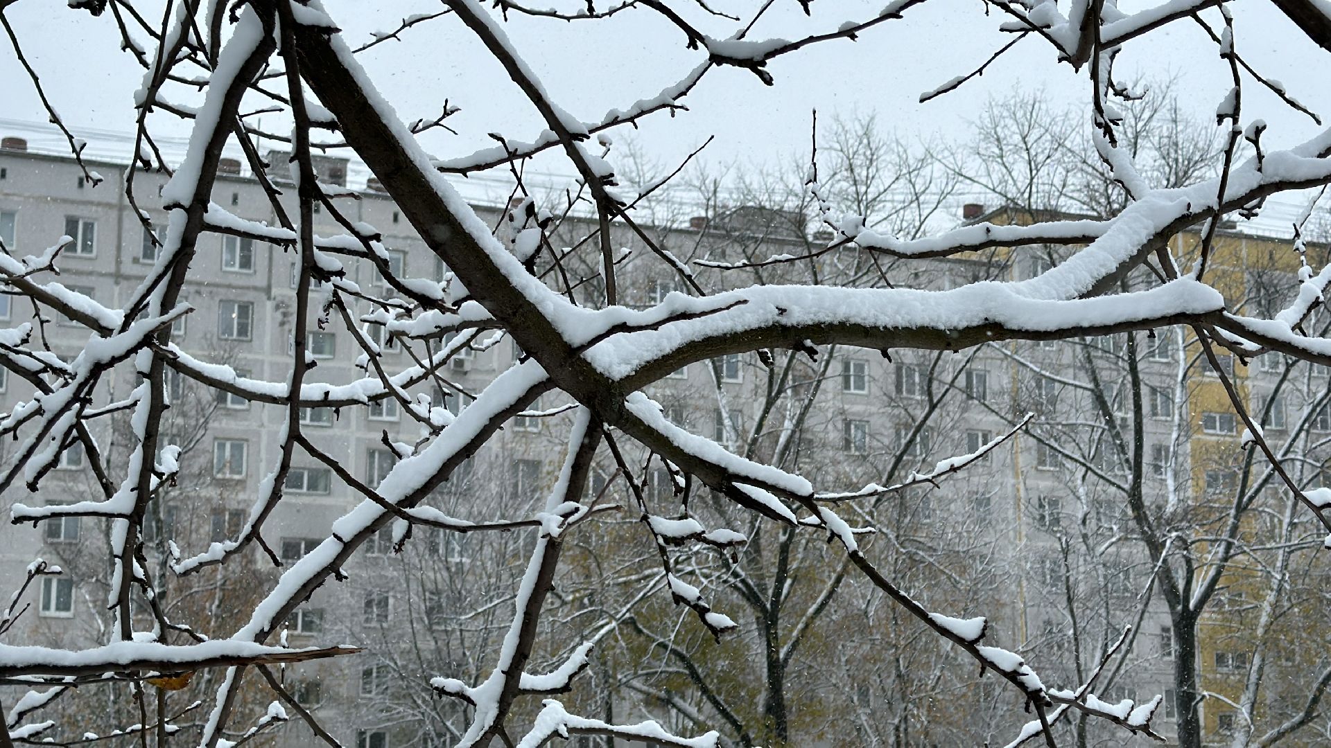Одинцово, Уборка снега, Первый снегопад,вертикалка, вертикальное видео, коммунальщики,
