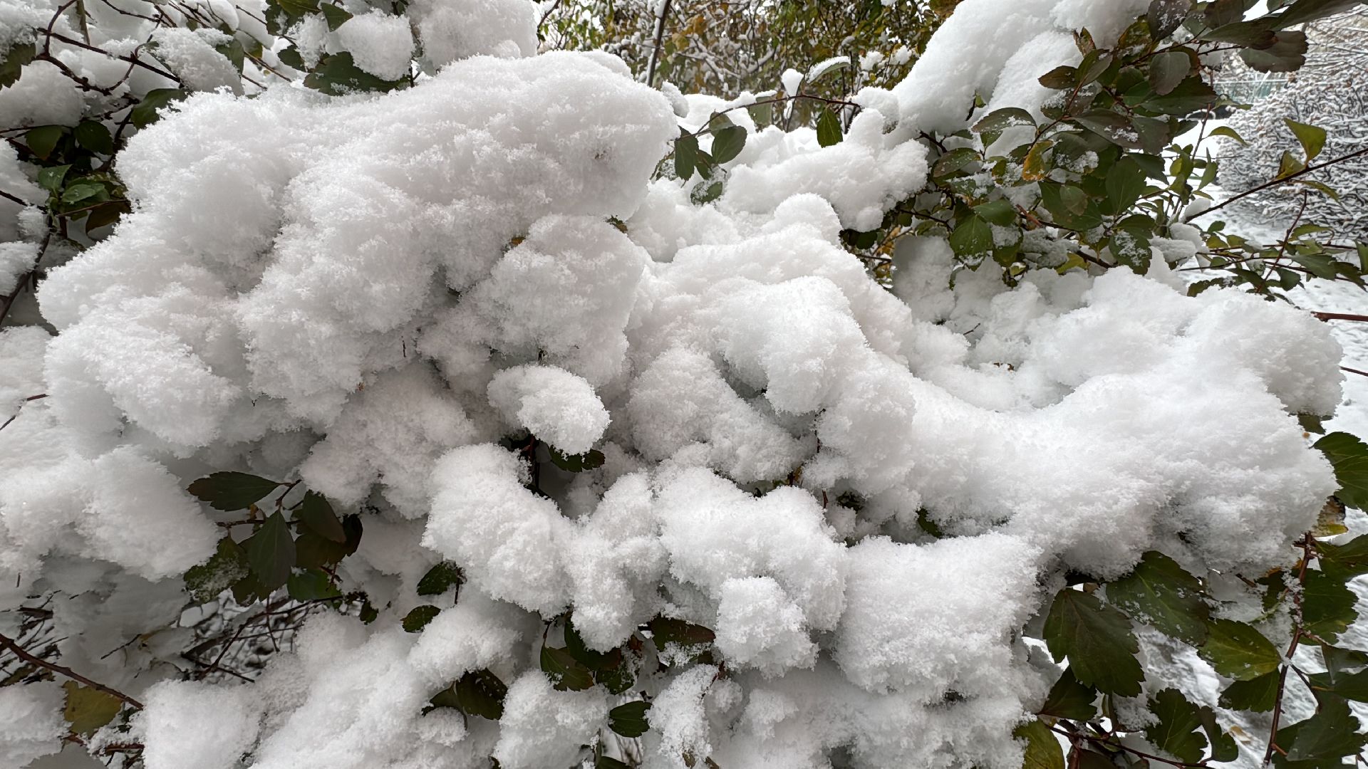 Одинцово, Уборка снега, Первый снегопад,вертикалка, вертикальное видео, коммунальщики,