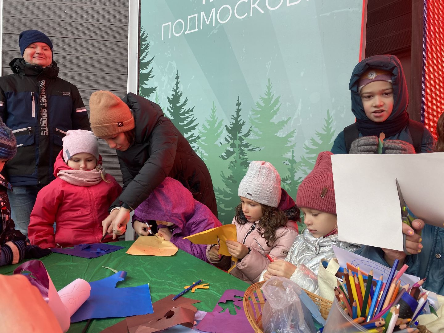 Домодедово, Подмосковье, Россия, день народно единства, Мы вместе, Мы едины, Парк Елочки,