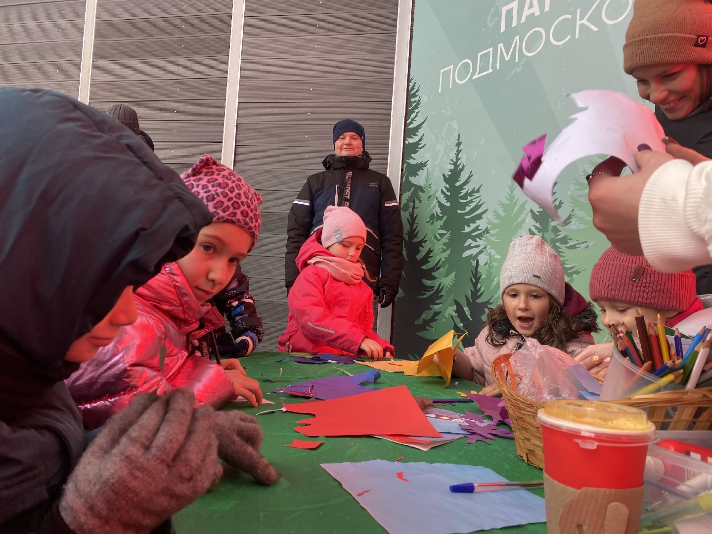 Домодедово, Подмосковье, Россия, день народно единства, Мы вместе, Мы едины, Парк Елочки,