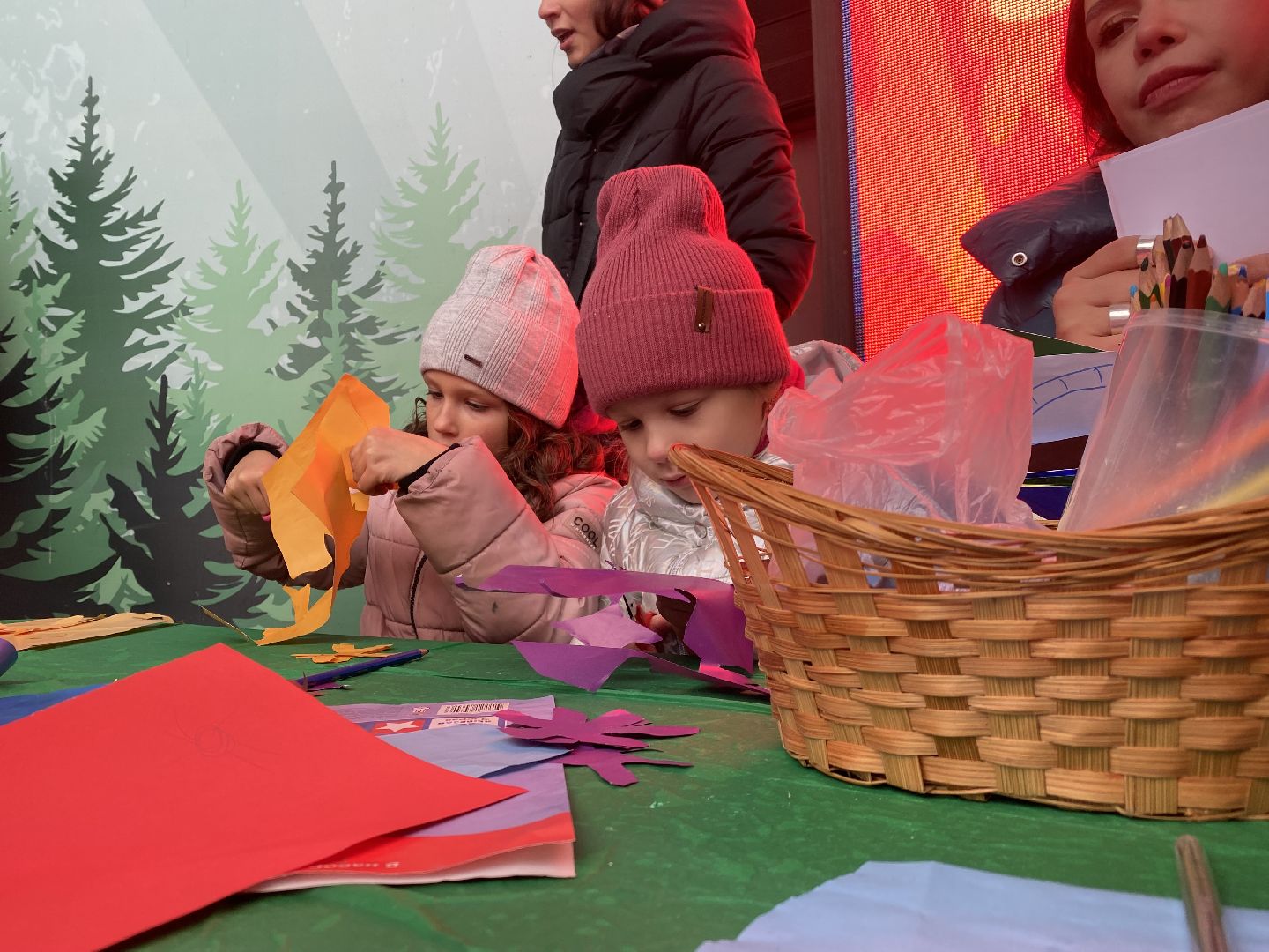 Домодедово, Подмосковье, Россия, день народно единства, Мы вместе, Мы едины, Парк Елочки,