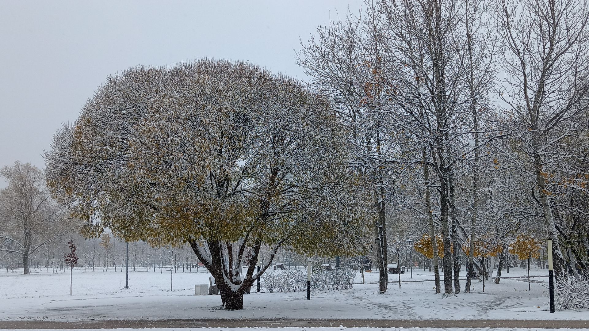 Реутов, День народного единства, праздник, вертикалки, конкурсы, мастер-класс,