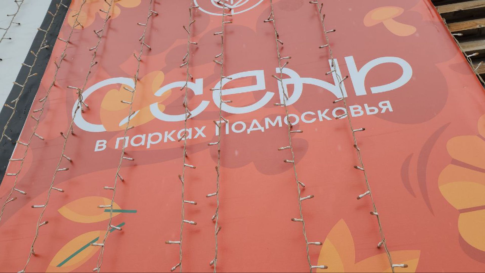 Реутов, День народного единства, праздник, вертикалки, конкурсы, мастер-класс,