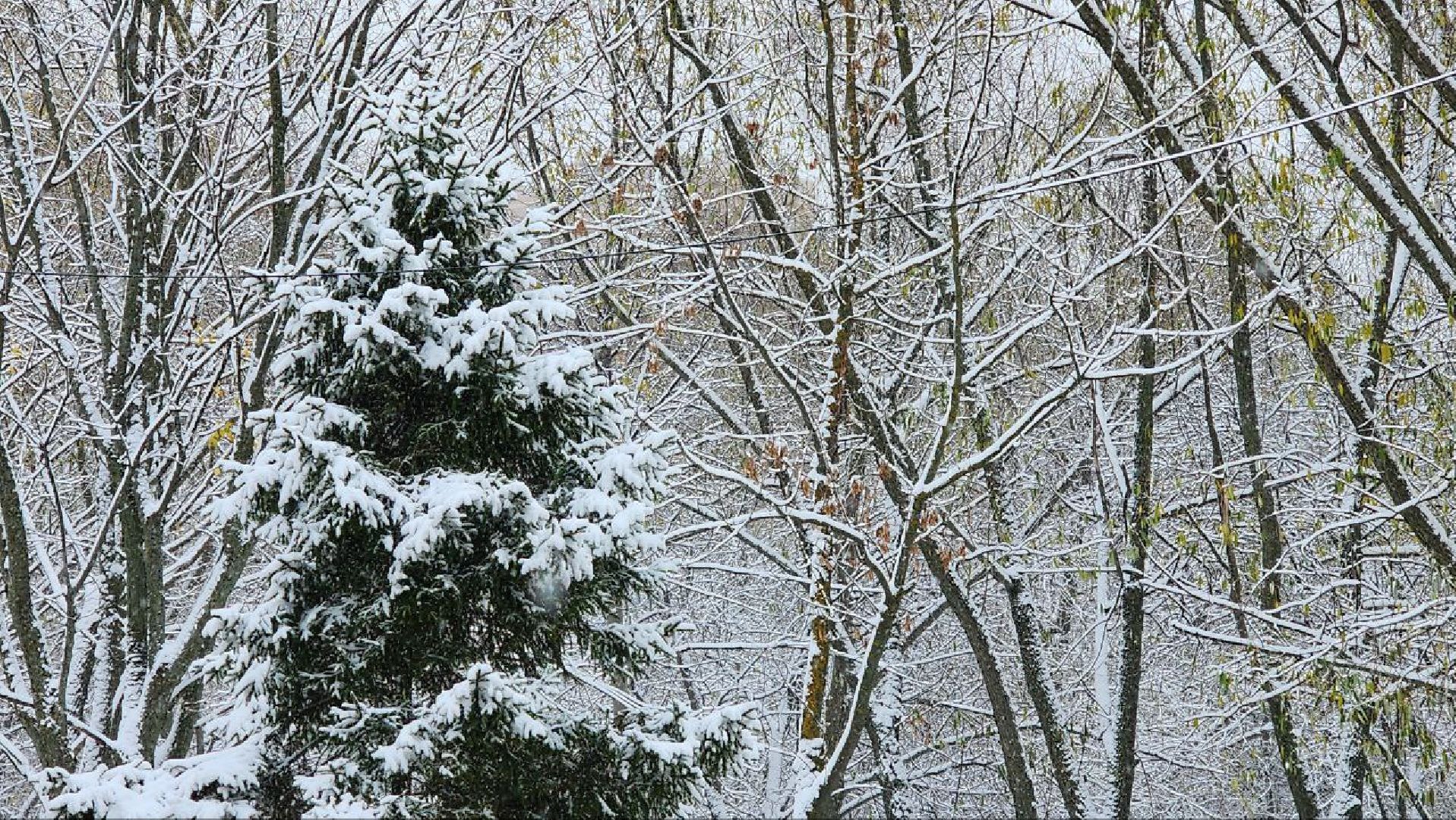 Реутов, День народного единства, праздник, вертикалки, конкурсы, мастер-класс,
