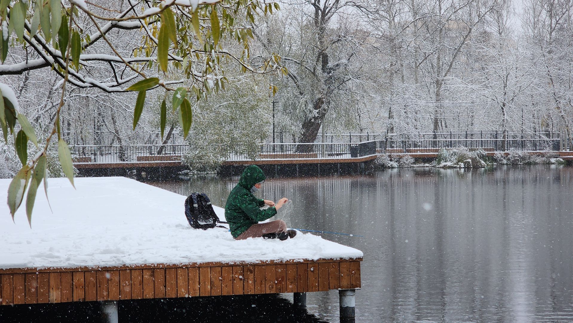Первый снег, коммунальная служба, Парки, день народно единства, Лосино-Петровский, вертикалки,