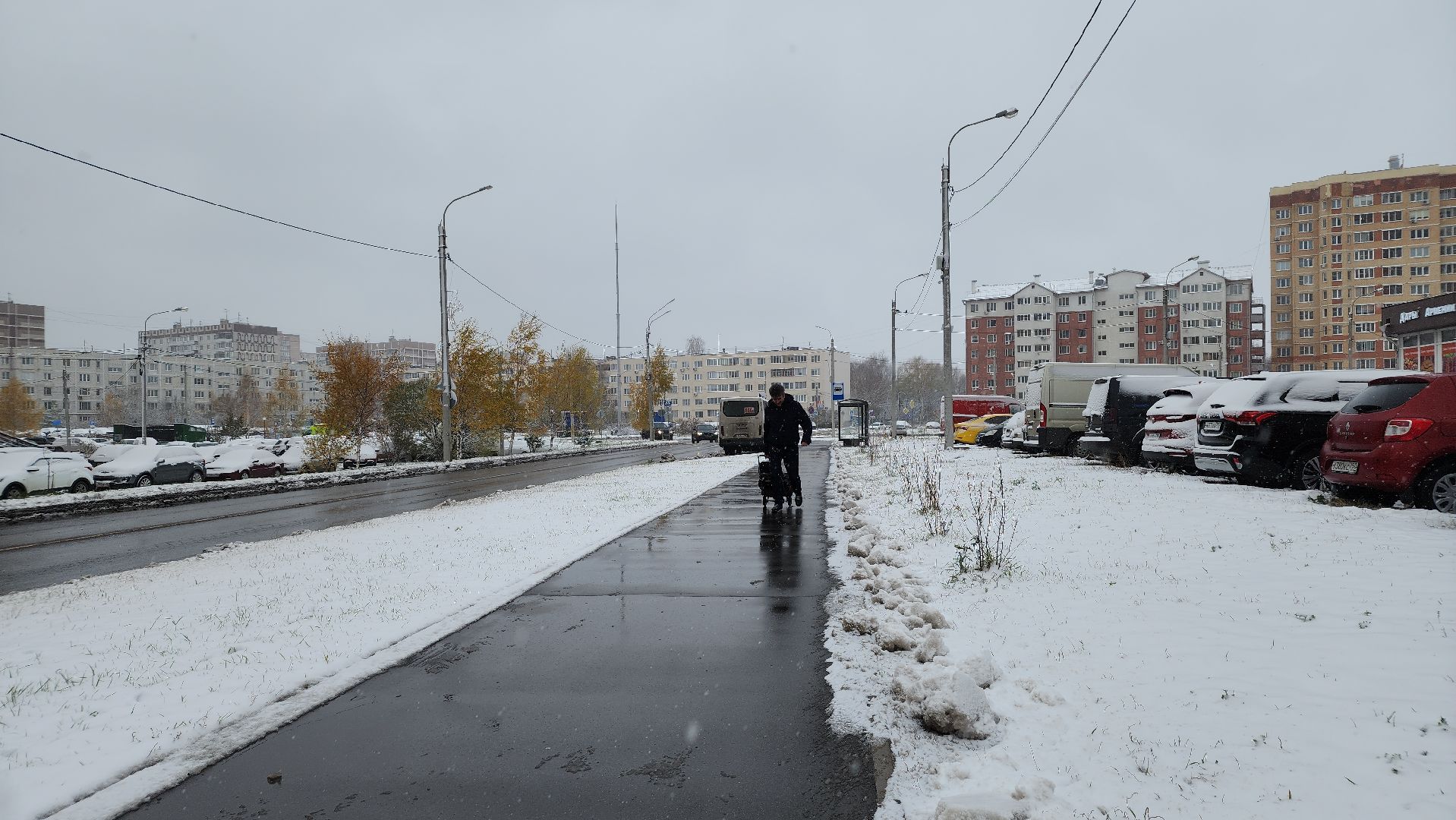 Первый снег, коммунальная служба, Парки, день народно единства, Лосино-Петровский, вертикалки,