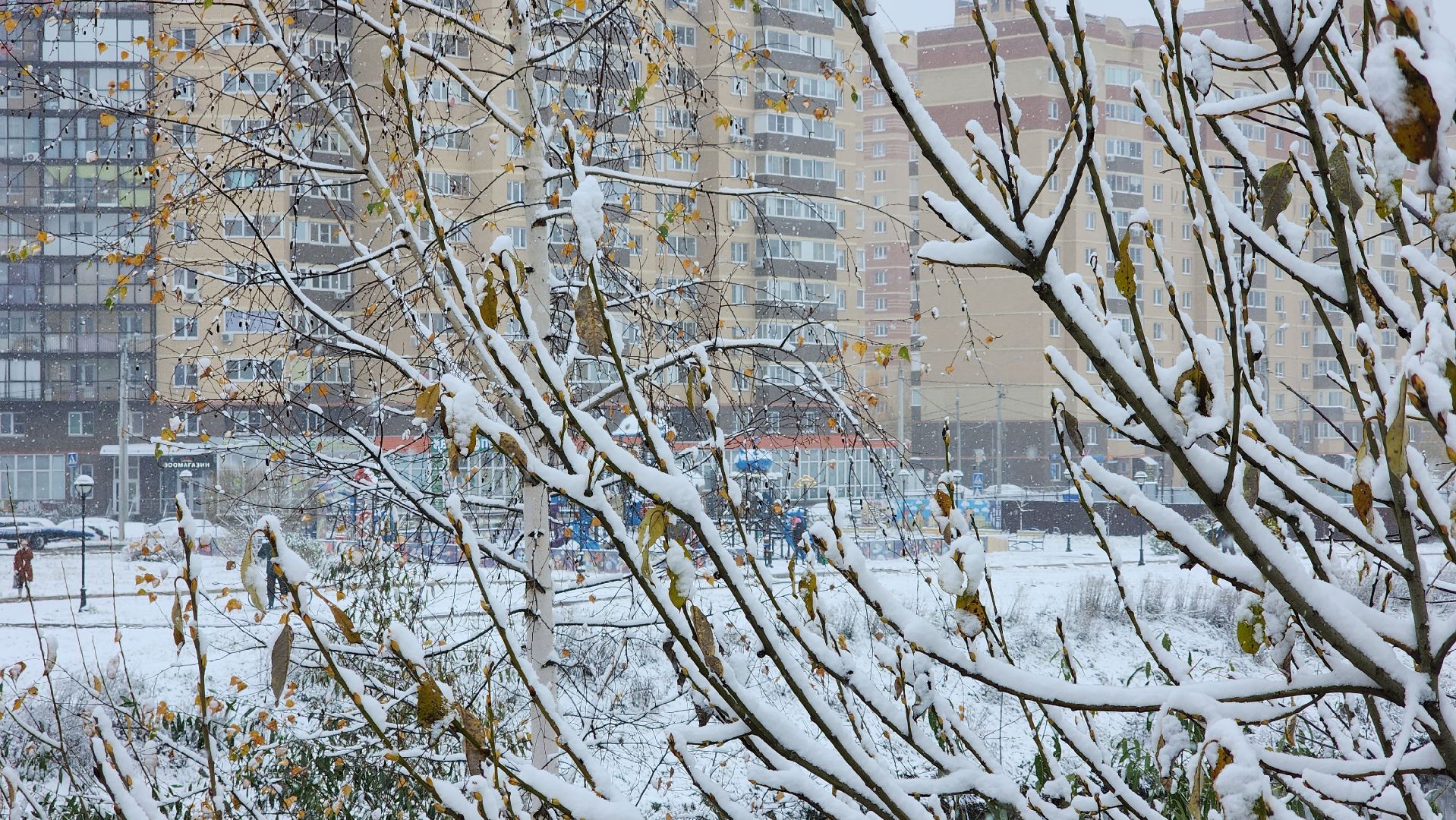 Первый снег, коммунальная служба, Парки, день народно единства, Лосино-Петровский, вертикалки,