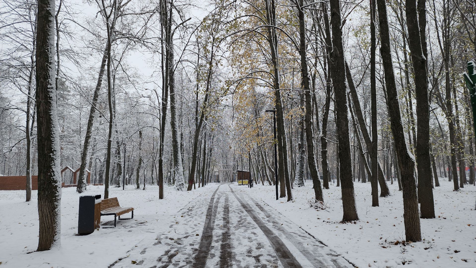 Первый снег, коммунальная служба, Парки, день народно единства, Лосино-Петровский, вертикалки,