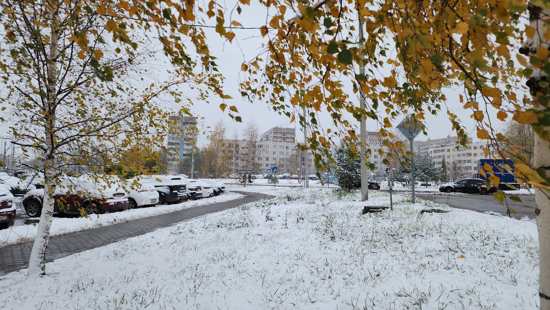 Первый снег, коммунальная служба, Парки, день народно единства, Лосино-Петровский, вертикалки,