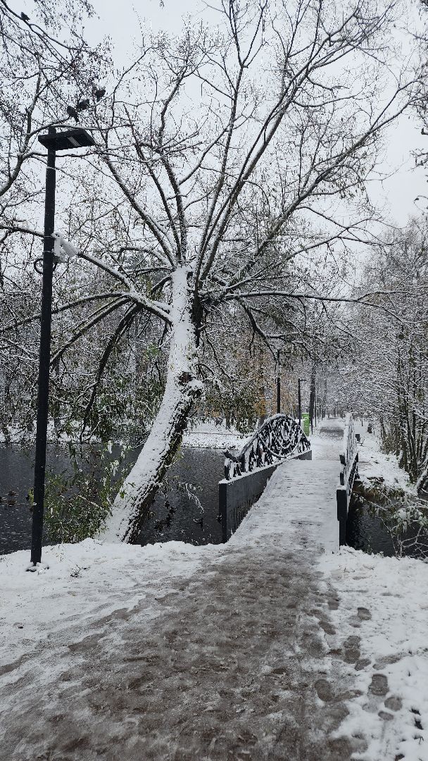 Первый снег, коммунальная служба, Парки, день народно единства, Лосино-Петровский, вертикалки,