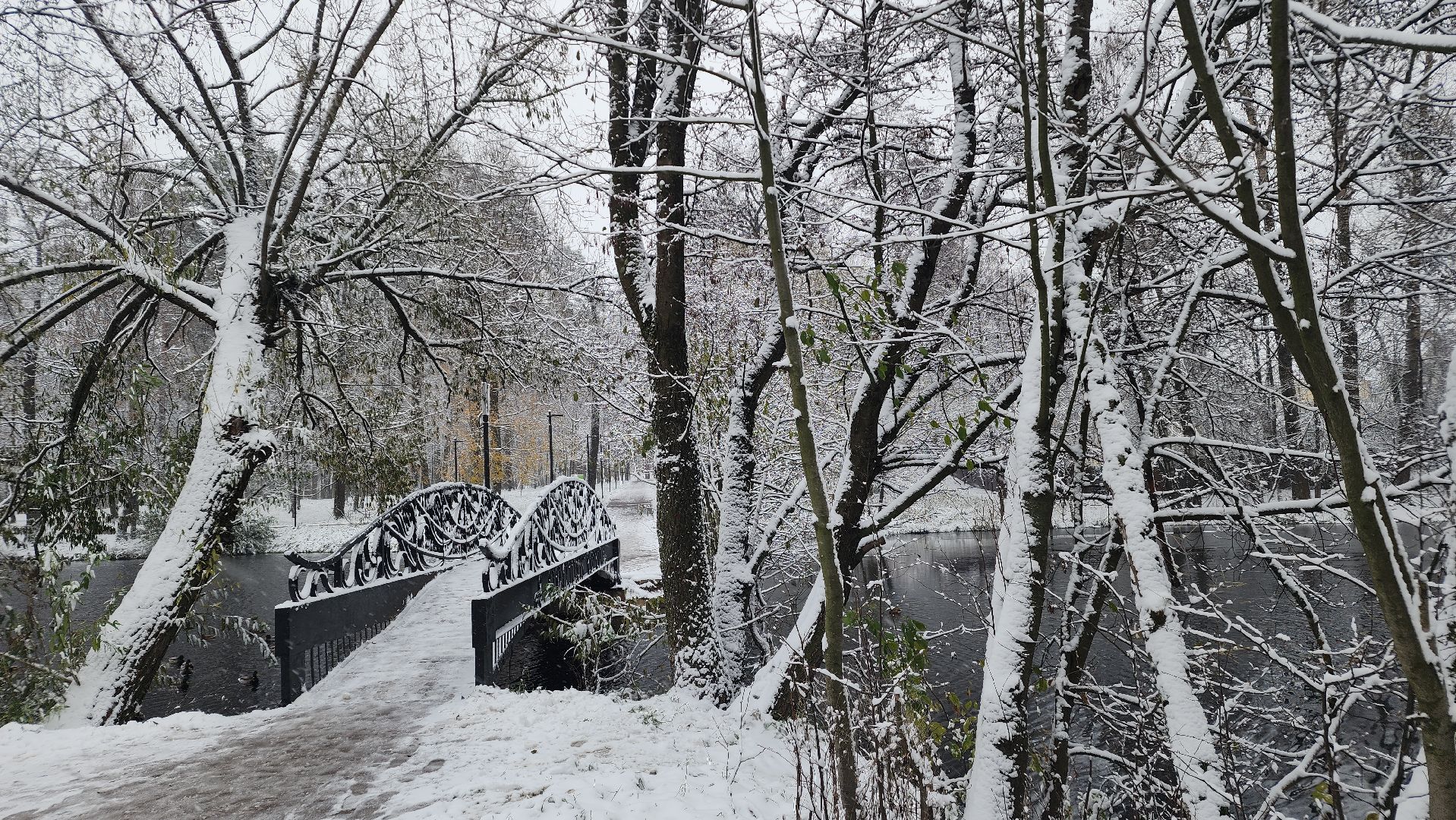Первый снег, коммунальная служба, Парки, день народно единства, Лосино-Петровский, вертикалки,