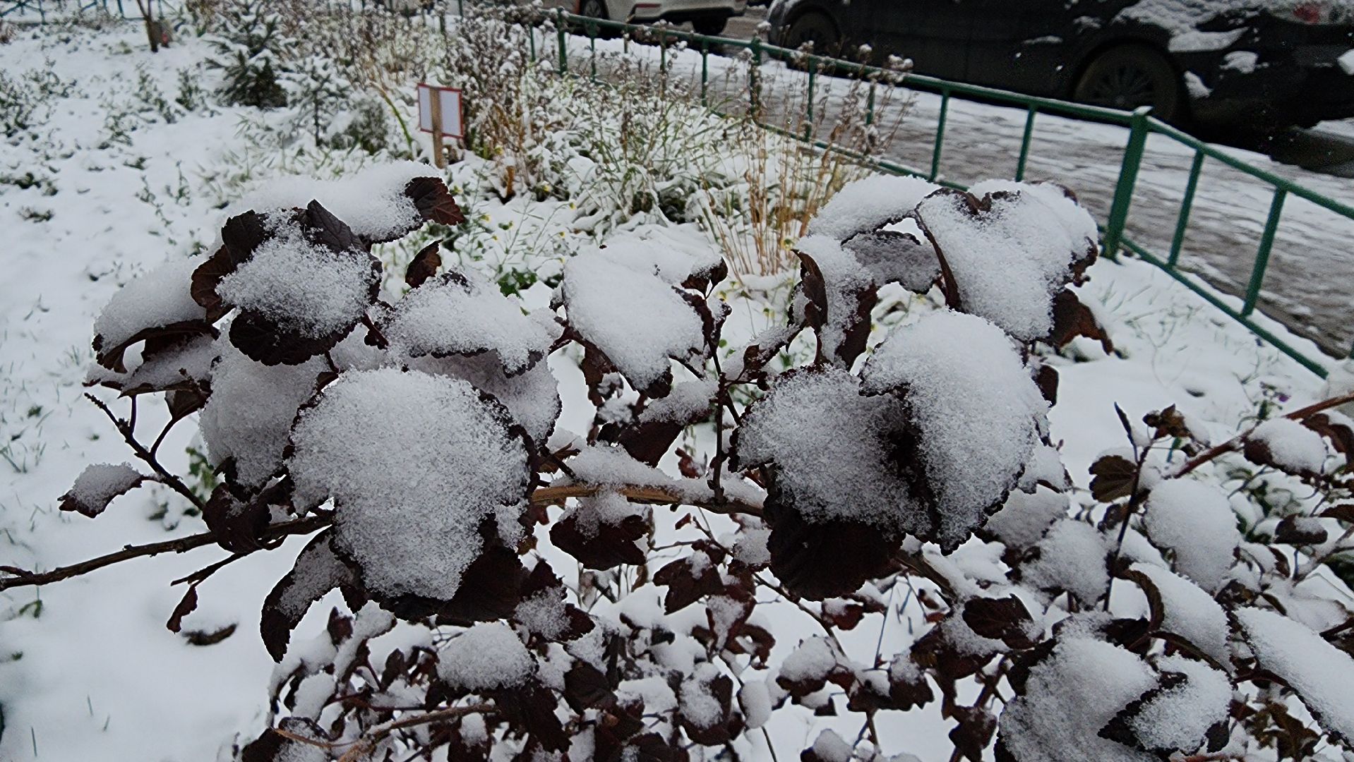 Первый снег, коммунальная служба, Парки, день народно единства, Лосино-Петровский, вертикалки,