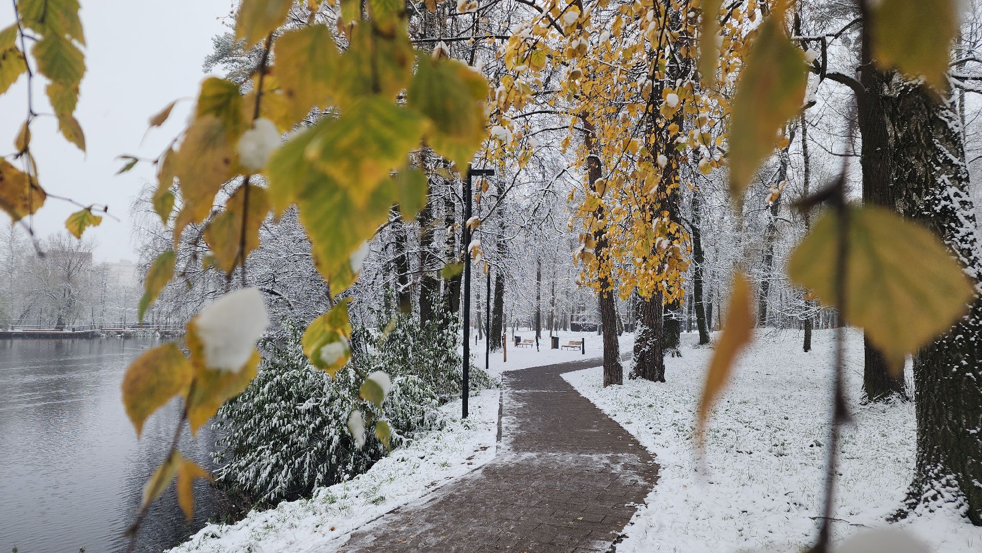Первый снег, коммунальная служба, Парки, день народно единства, Лосино-Петровский, вертикалки,