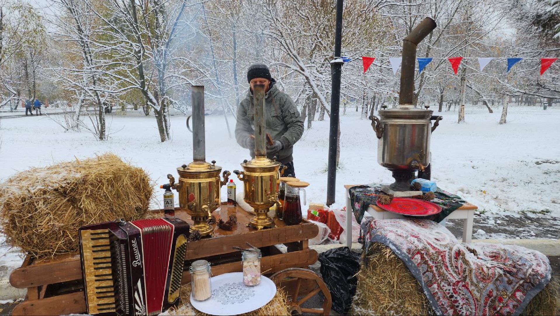 Реутов, день народно единства, Праздник в парке, вертикалки, Чаепитие, Чай из самовара, Баранки,