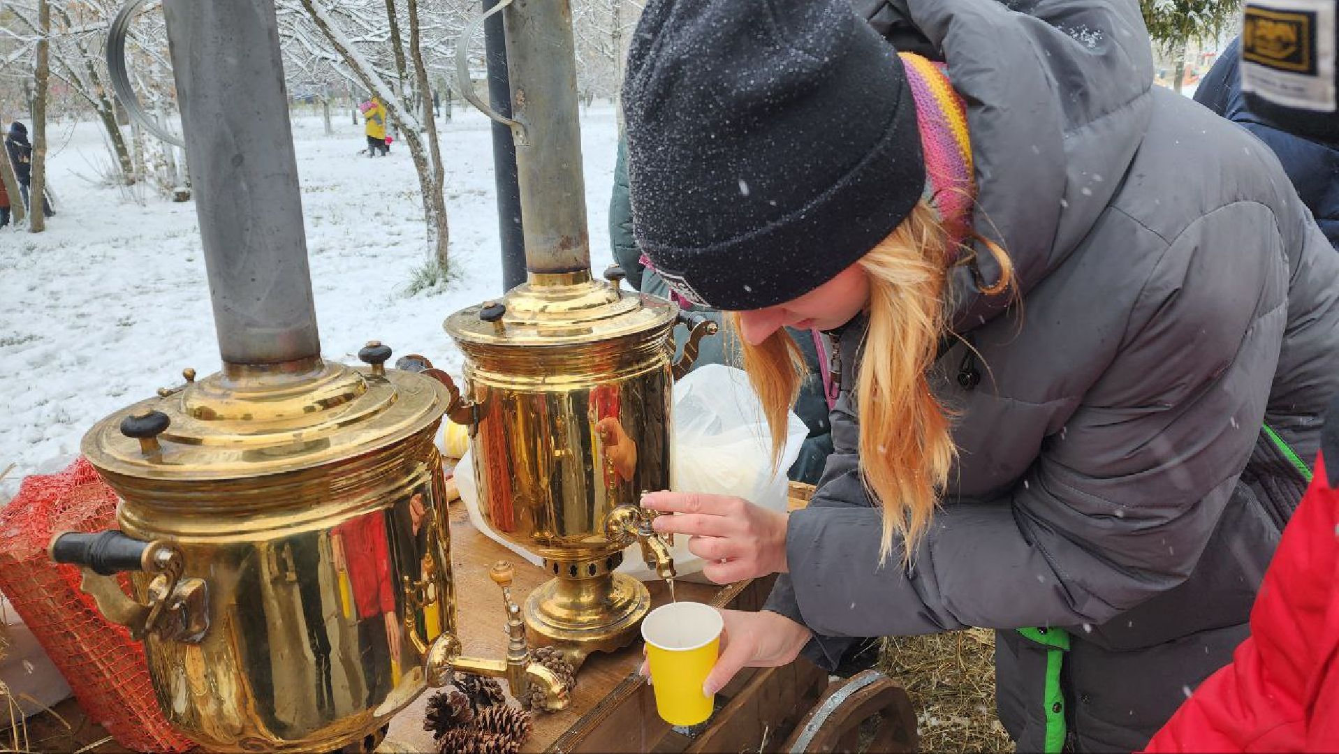 Реутов, день народно единства, Праздник в парке, вертикалки, Чаепитие, Чай из самовара, Баранки,